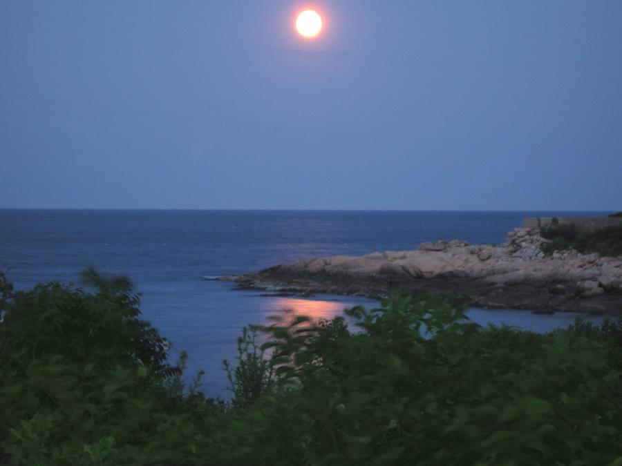 罗克波特海员旅馆住宿加早餐旅馆 外观 照片
